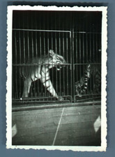 Galdin, France, Paris, Cirque