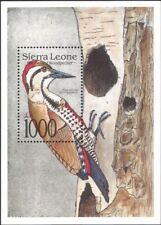 Sierra Leone 1992 Pivert Oiseaux Nature Faune Conservation M S Mnh