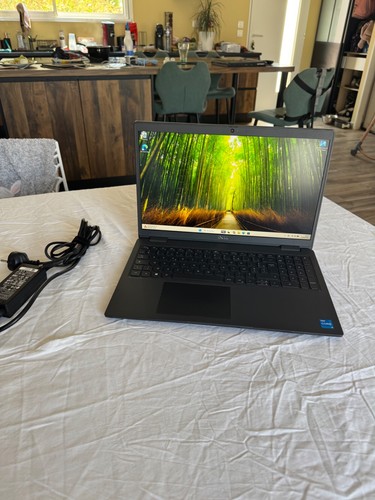 Portable dell latitude - (15),