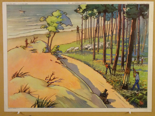 Affiche scolaire rossignol le - affiche,