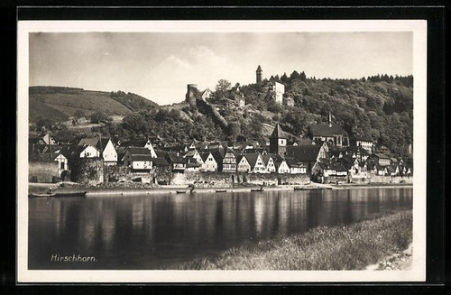 Corne cerf vue locale - cerf,, avec