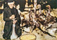 Carte Postale Ancienne ❤️