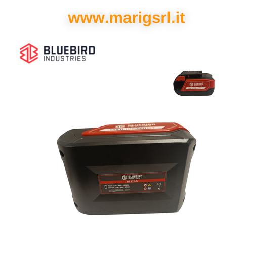 Batterie lithium bleu oiseau