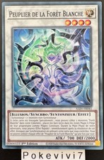 YU-GI-OH! Card PEUPLIER DE LA FORÊT BLANCHE ALIN-FR041 SR NEW
