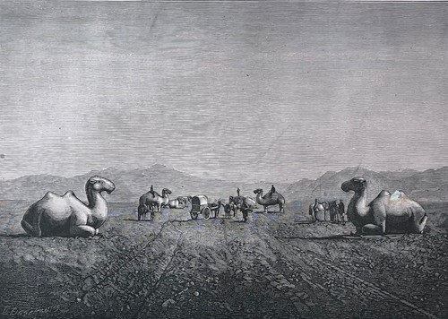 Chine sentier animalier - , granit