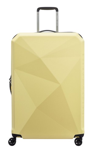 Delsey paris valise - paris,
