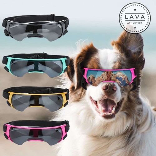 Small dog goggles - goggles, sunglasses