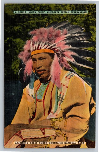 1952 cherokee indian chief - indian,