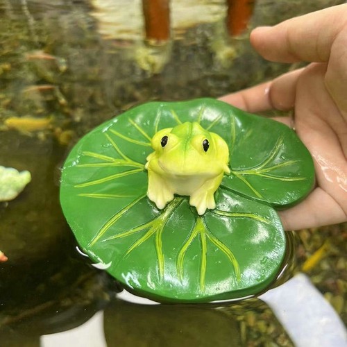 Feuille nénuphar en - feuille, de