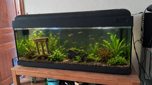 Aquarium terrarium 120l - aquarium/,