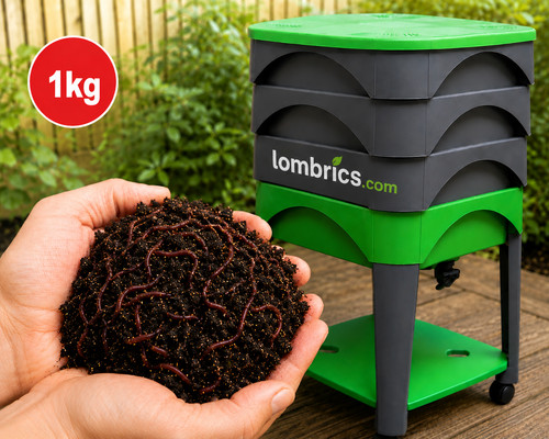 Lombrics 1kg vers de terre - lombrics,