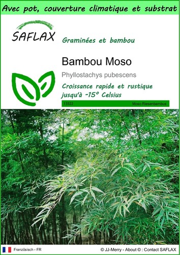 Saflax garden bambou - -,