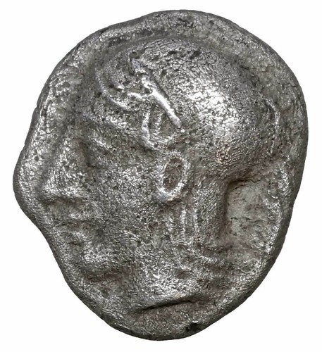 Aeolis elaia diobol - aeolis,