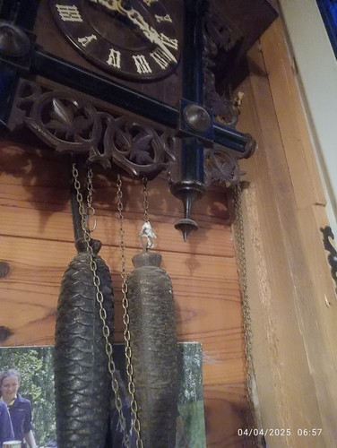 Ancien coucou forêt noire - coucou,