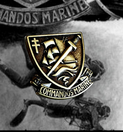 Commandos marine pins - marine,
