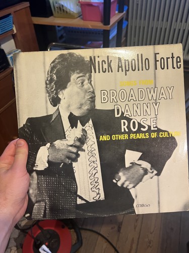 Disque vinyle nick - disque,