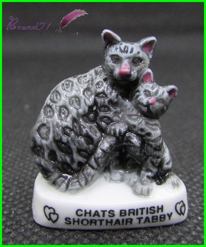 Feve les races chat cat - feve,