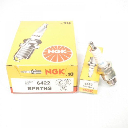 Bougie allumage ngk - d'allumage, pour