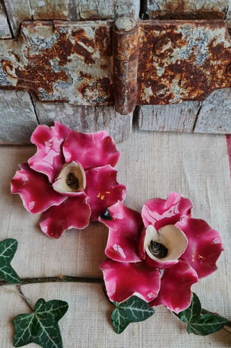Anciennes fleurs roses en - fleurs,