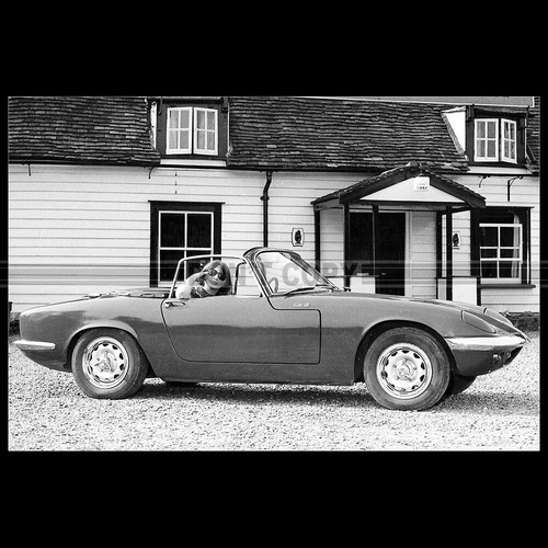 Photo 015336 lotus - photo,