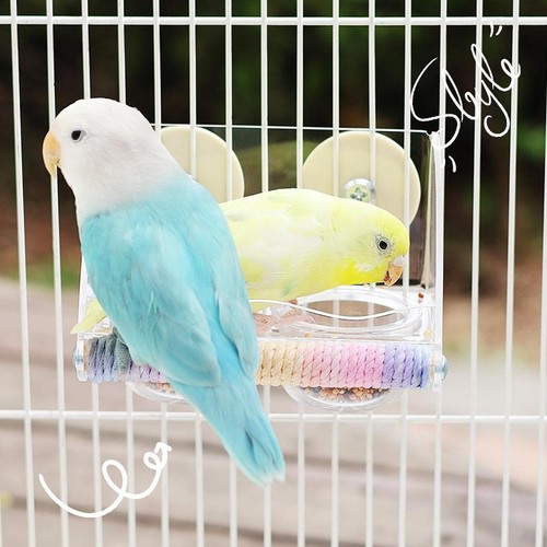 Mangeoire oiseaux pour - oiseaux,