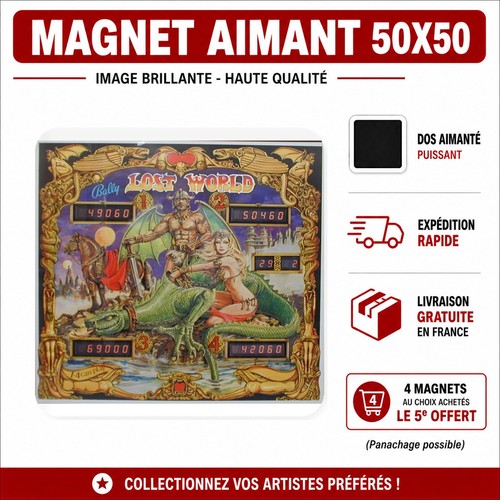 Magnet lost world pinball - lost,