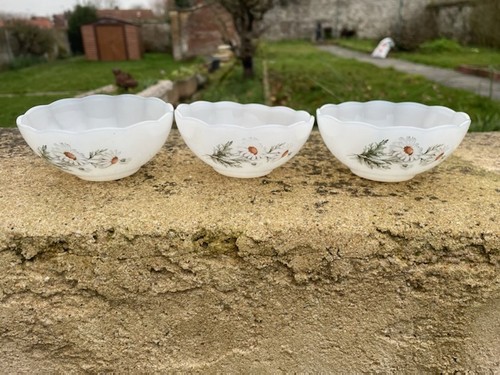 Coupelles motif marguerites - ,