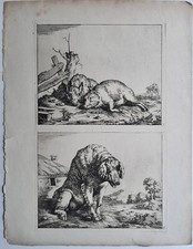 Deux cochons Une truie par