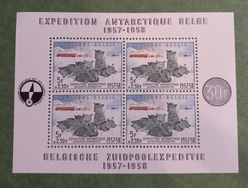Timbres belges antarctique