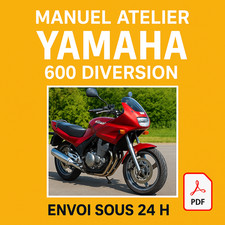 Manuel Atelier Yamaha XJ600S/N