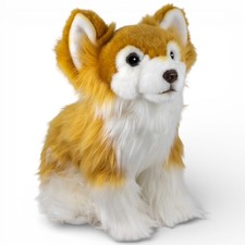 Carl Dick Chihuahua assis