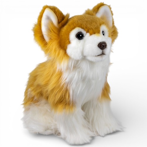 Carl dick chihuahua - carl,