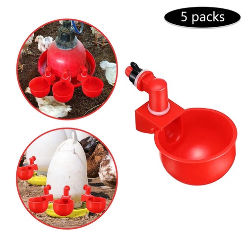 Mangeoire pour chicken farm - chicken,