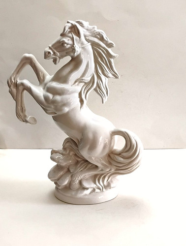 Cheval blanc en - ,