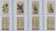 E30 Philadelphia, Zoo, Song Birds, 1907, Lot, Barbet Malimbus Emeu Kinglet
