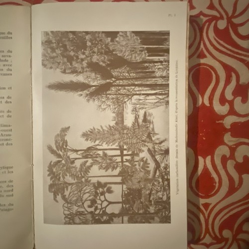 Guillaumin les plantes - les,