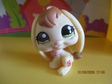 Petshop Rabbit Aries #1167