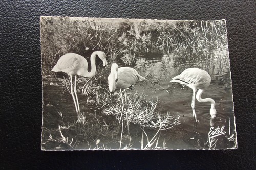 France carte postale le - -,