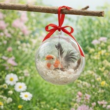 🎄 BOULE TRANSPARENTE AVEC