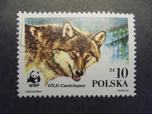 Timbre polska pologne loup - polska, pologne/