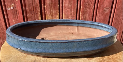 Pot bonsaï pour forêt - pour,