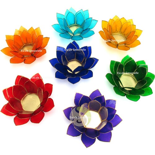 Photophores fleur lotus - de, 7