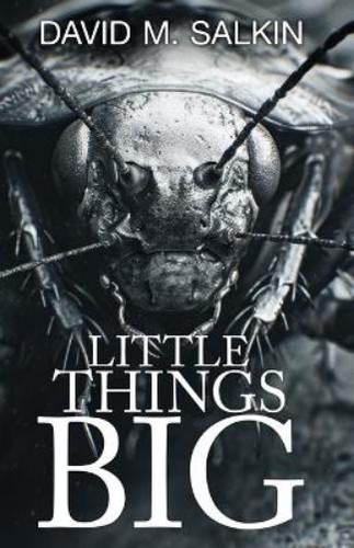 David salkin little things - m,