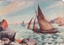 🦬Carte Postale / Postcard /