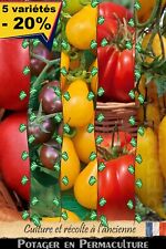 Tomates - Mélange de 5 variétés graines  personnalisées (150 graines) + 1 cadeau