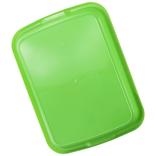 Pousse plateau hydroponique - pousse,