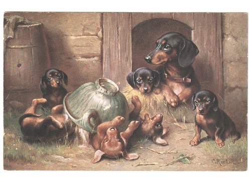 Reichert maman chiots - c.,