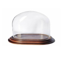 Cloche en Verre Ovale avec socle 20cm Longueur x 15cm Hauteur x 11cm Largeur