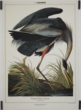 Great blue Heron by Audubon Circa 1980 Affiche Originale Animaux