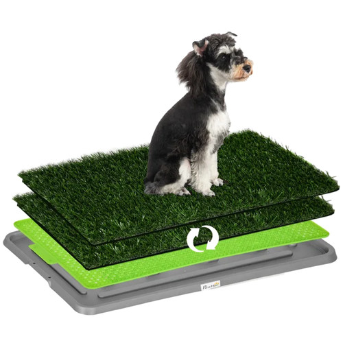 Toilette chien litière - toilette,